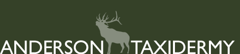 Anderson Taxidermy
